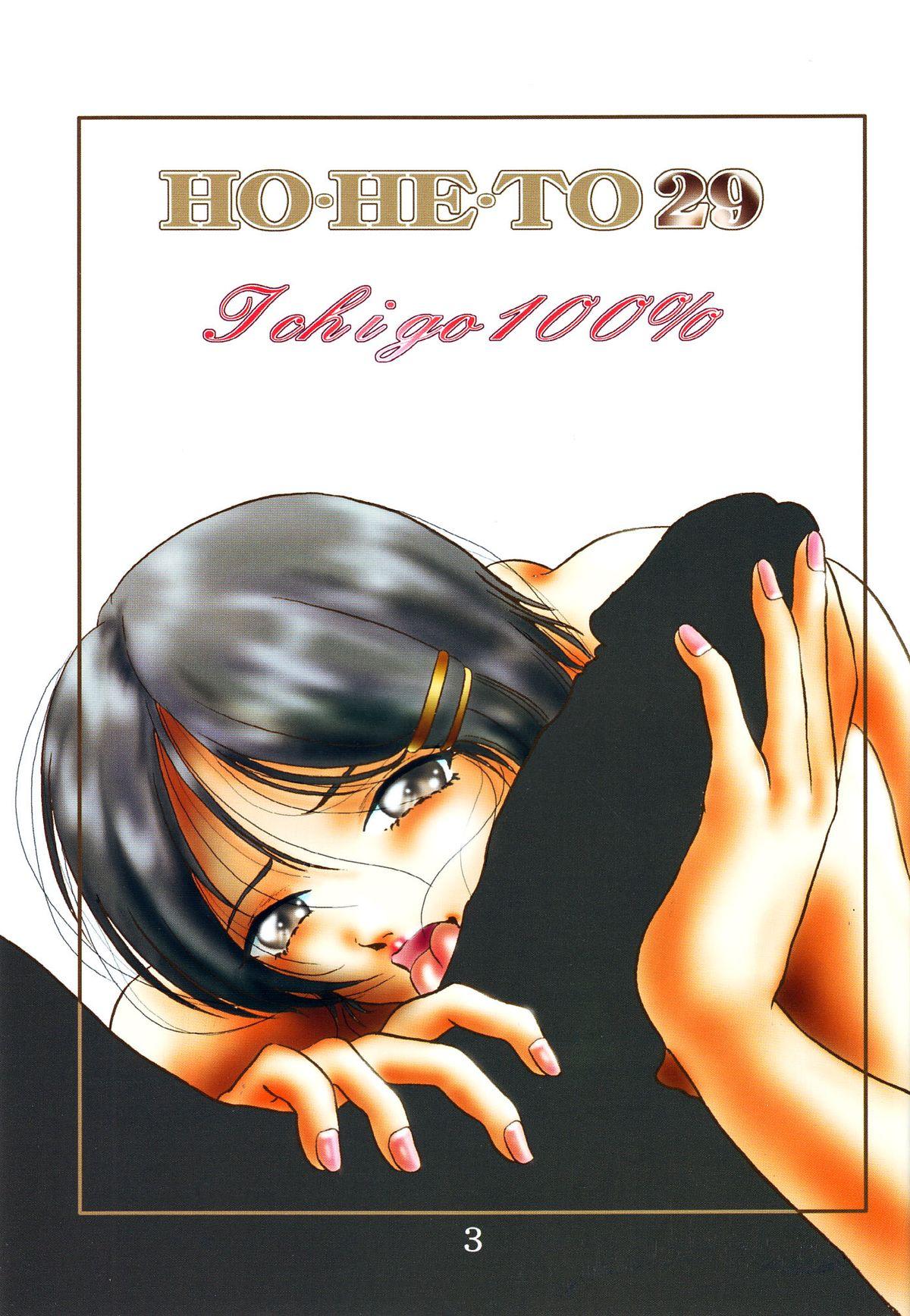 Handsome HOHETO 29 - Ichigo 100 Tit - Page 2