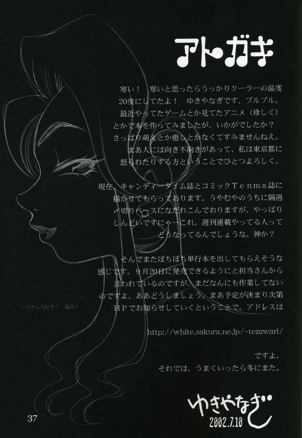 Yukiyanagi no Hon Vol. 4 Double Princesses 36