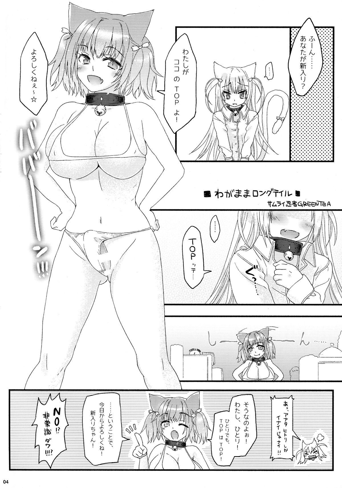 Rough Sex Wagamama Longtail Futanari - Page 4