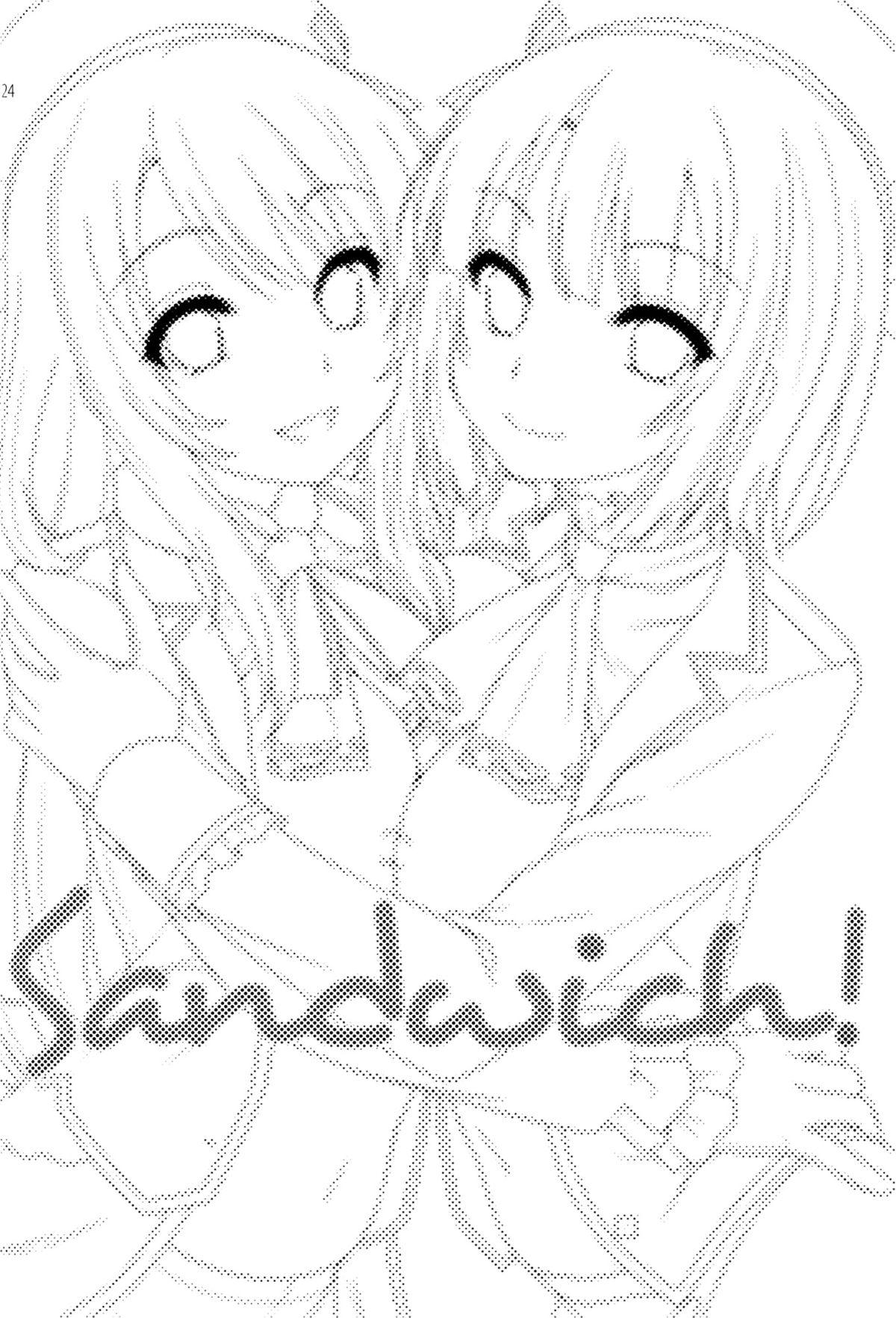 Sandwich! 21