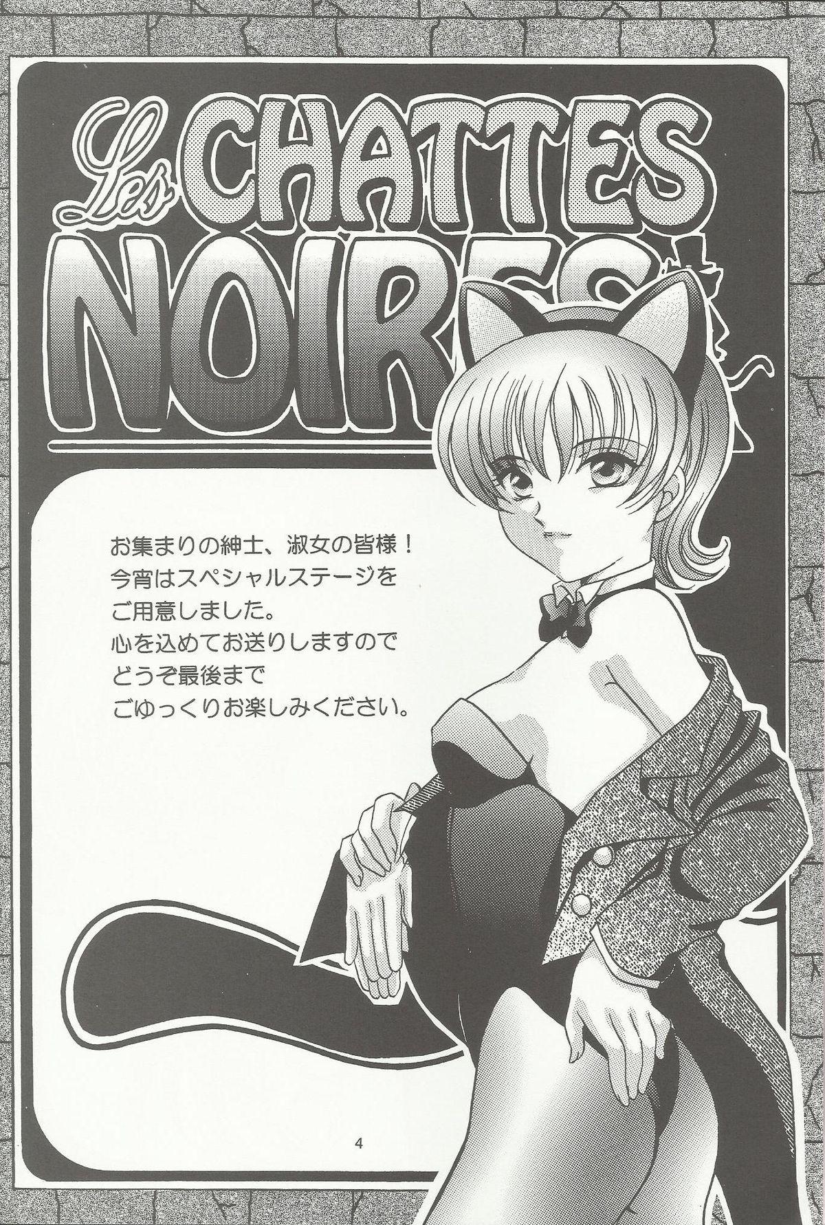 Softcore Bonne Chance - Sakura taisen Private Sex - Page 4