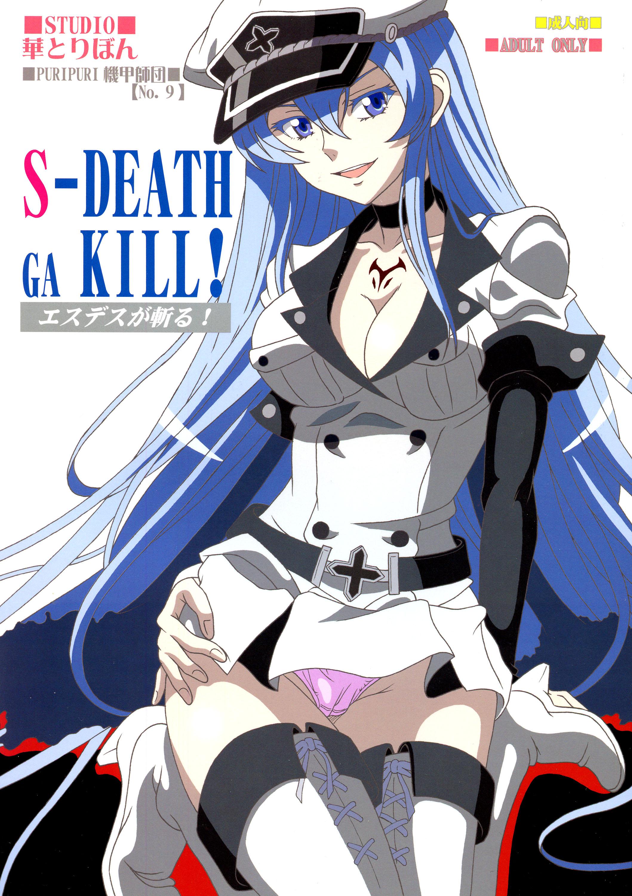 Roleplay S-DEATH GA KILL! - Akame ga kill Hard - Page 2