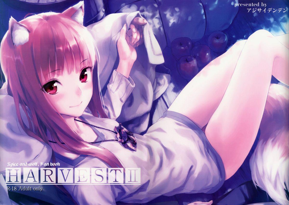 Hoe Harvest II - Spice and wolf Gay Cumjerkingoff - Picture 1