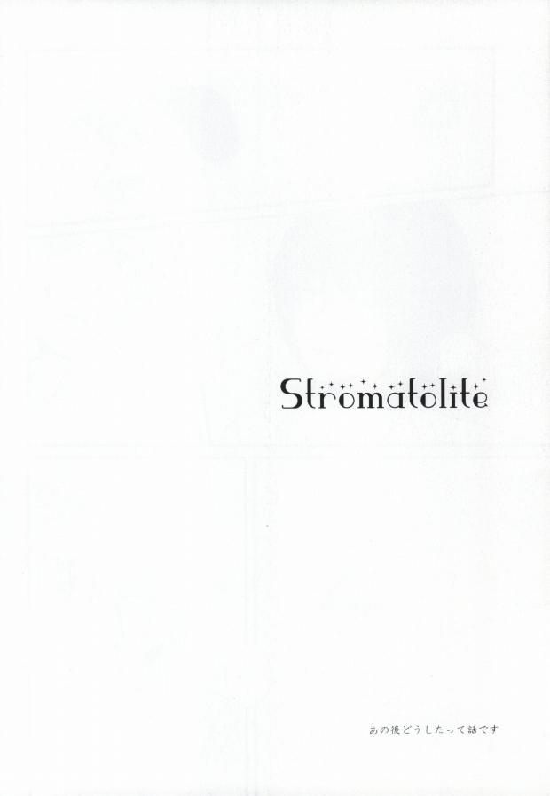 Stromatolite 13