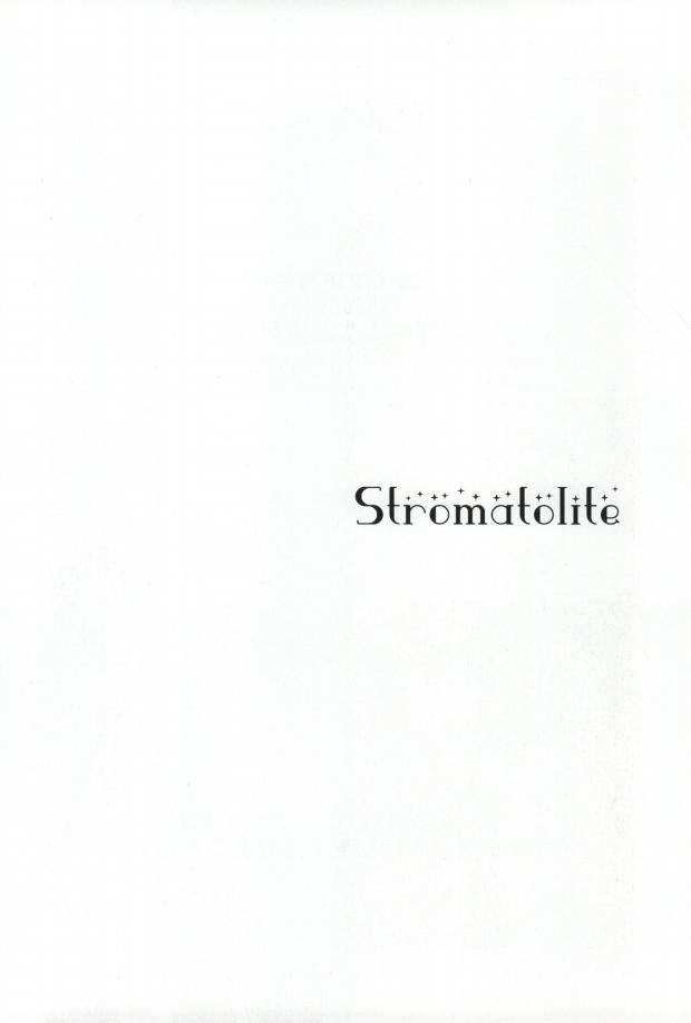 Stromatolite 1
