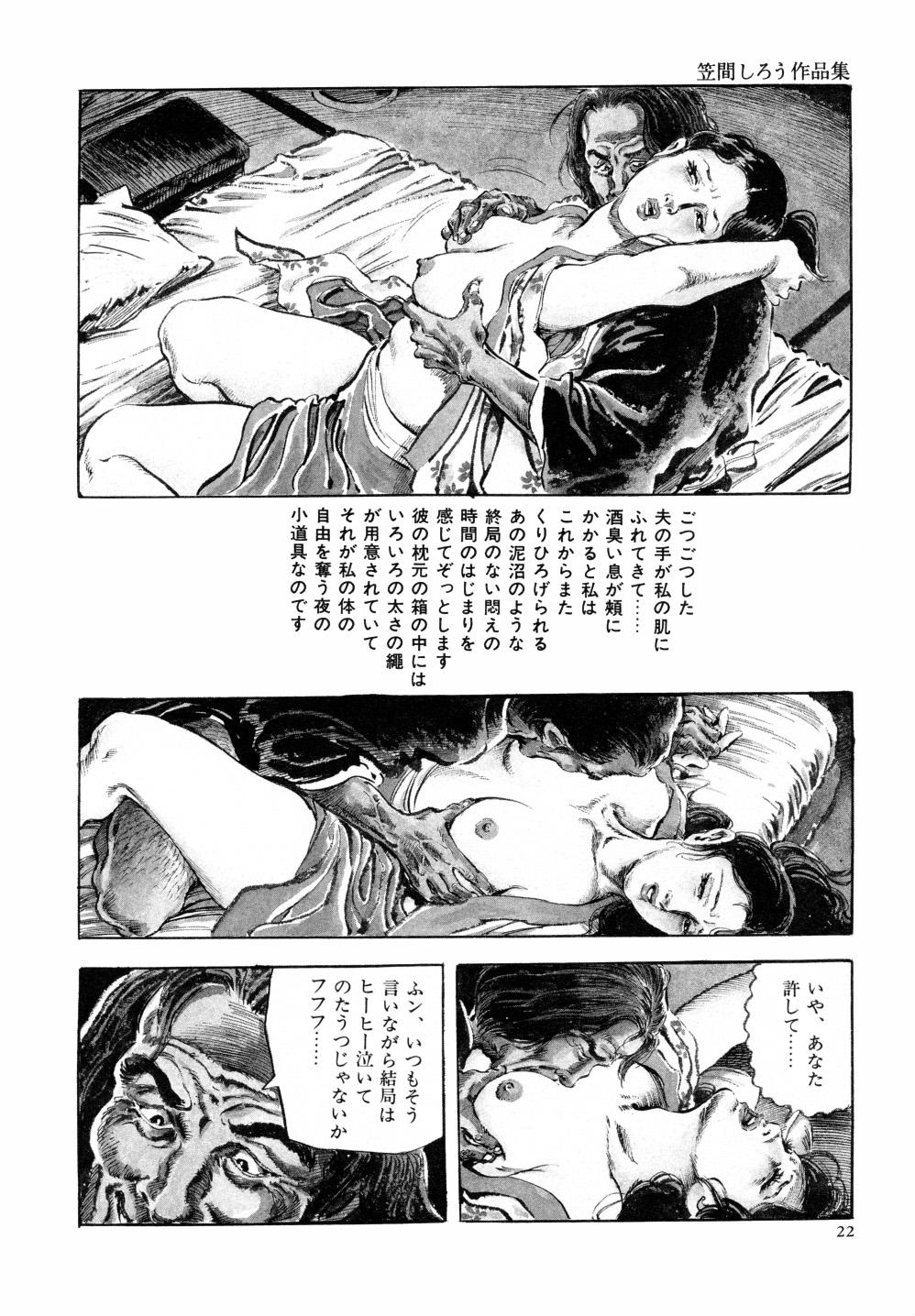 Kasama Shirou Sakuhin Vol. 6 Nawa Fujin 28