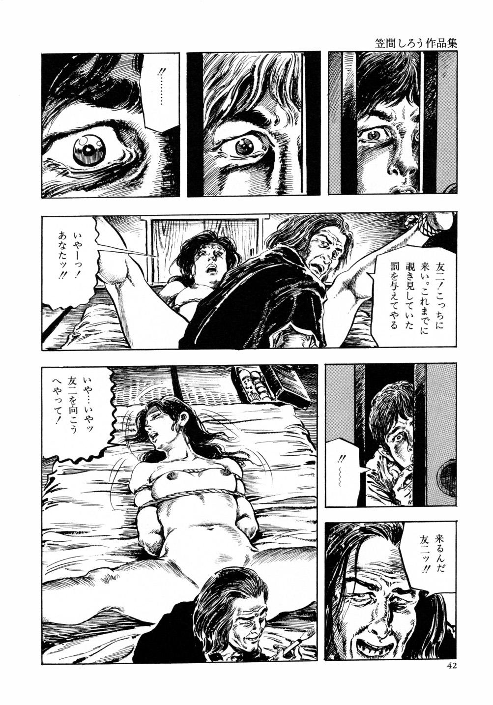 Kasama Shirou Sakuhin Vol. 6 Nawa Fujin 48