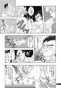 Ikillitts Sairokua Dragon Ball Z Panty 7