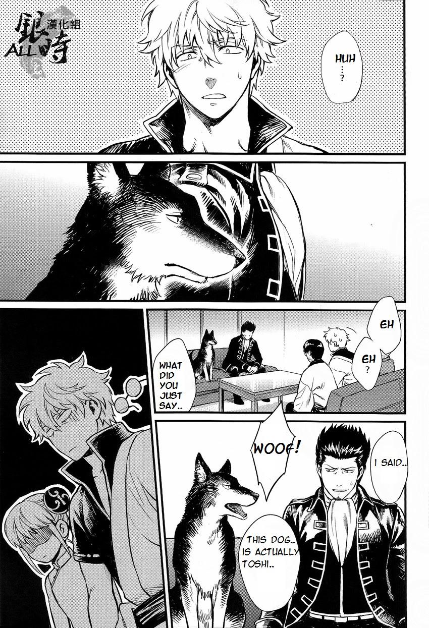 Butthole HOW to SPOIL YOUR DOG - Gintama Sensual - Page 7