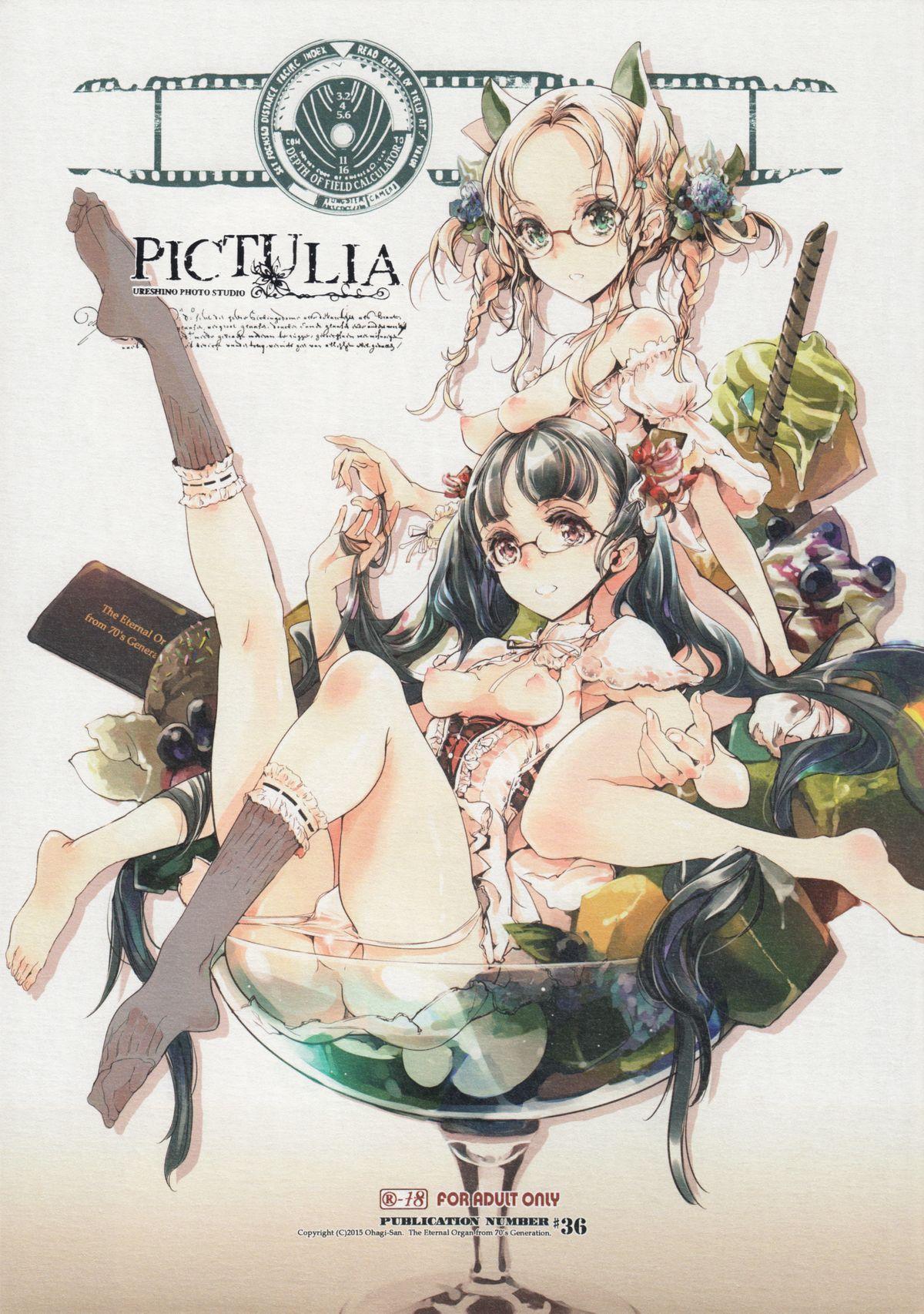 pictulia + 4P Leaflet 0