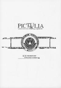 pictulia + 4P Leaflet 4