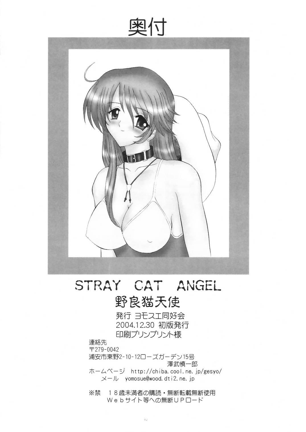 STRAY CAT ANGEL 61