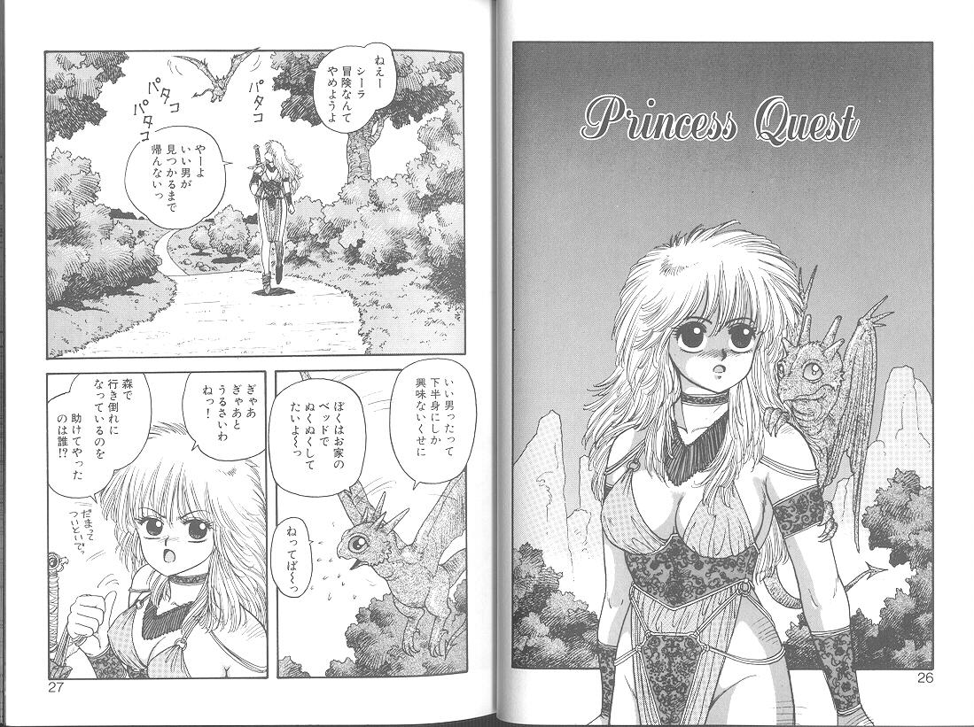 Princess Quest Saga 15