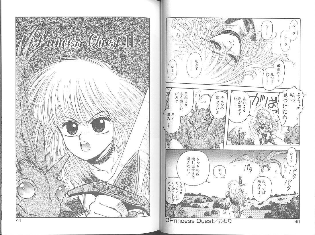 Princess Quest Saga 22