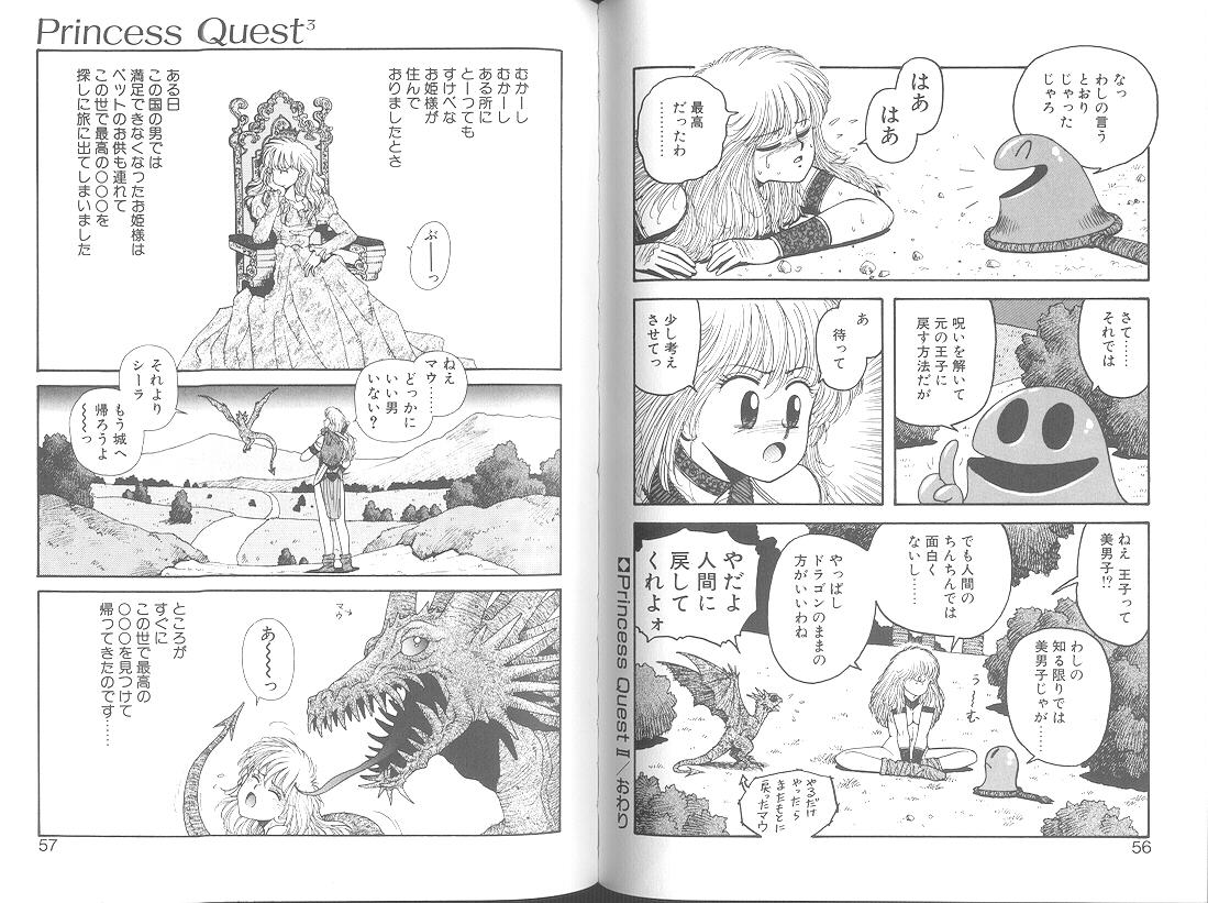 Princess Quest Saga 30