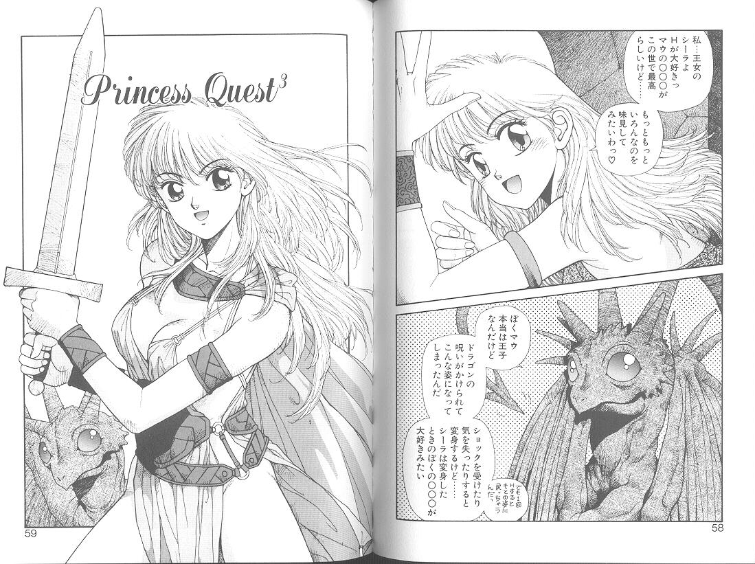 Princess Quest Saga 31