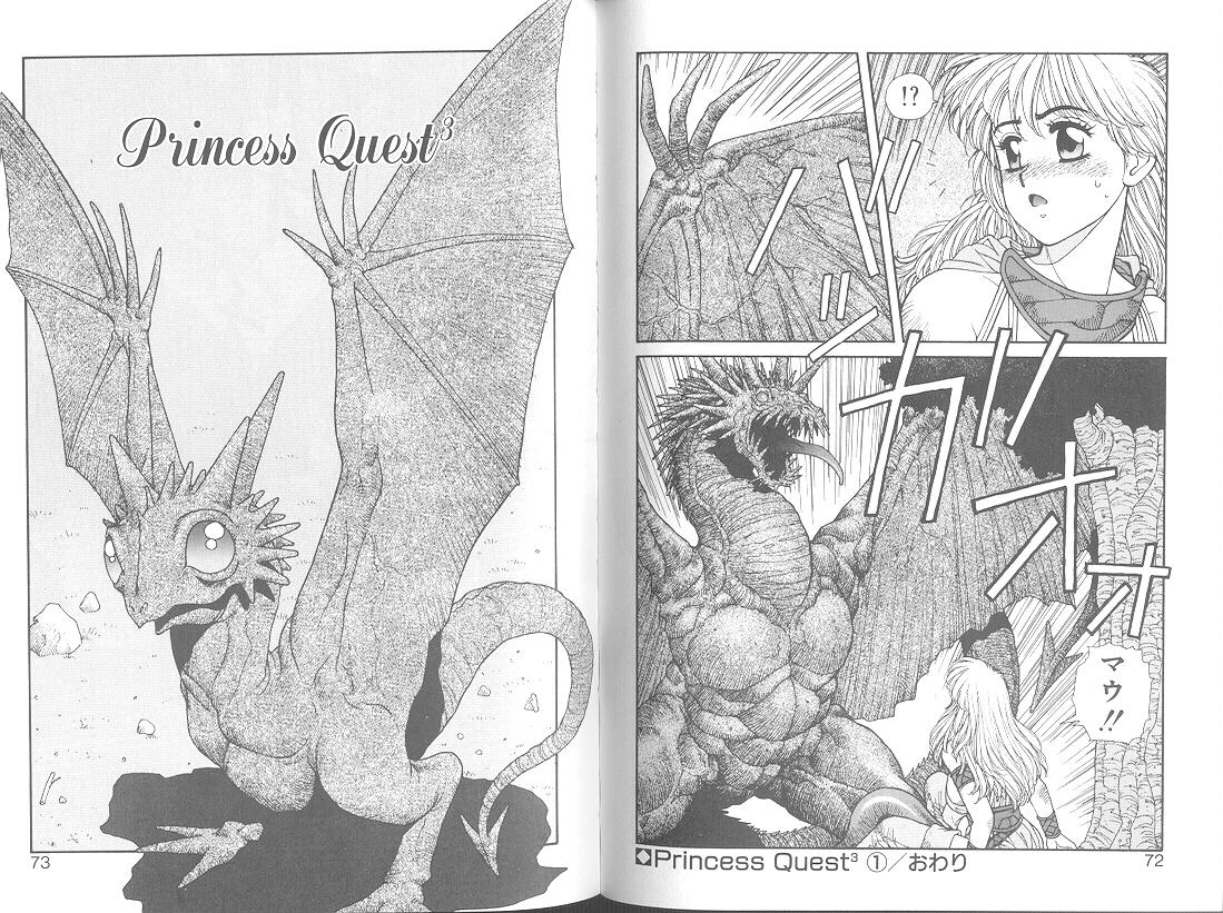 Princess Quest Saga 38