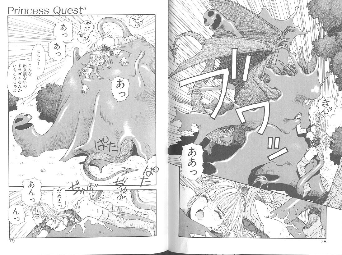 Princess Quest Saga 41