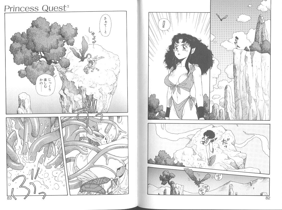 Princess Quest Saga 43