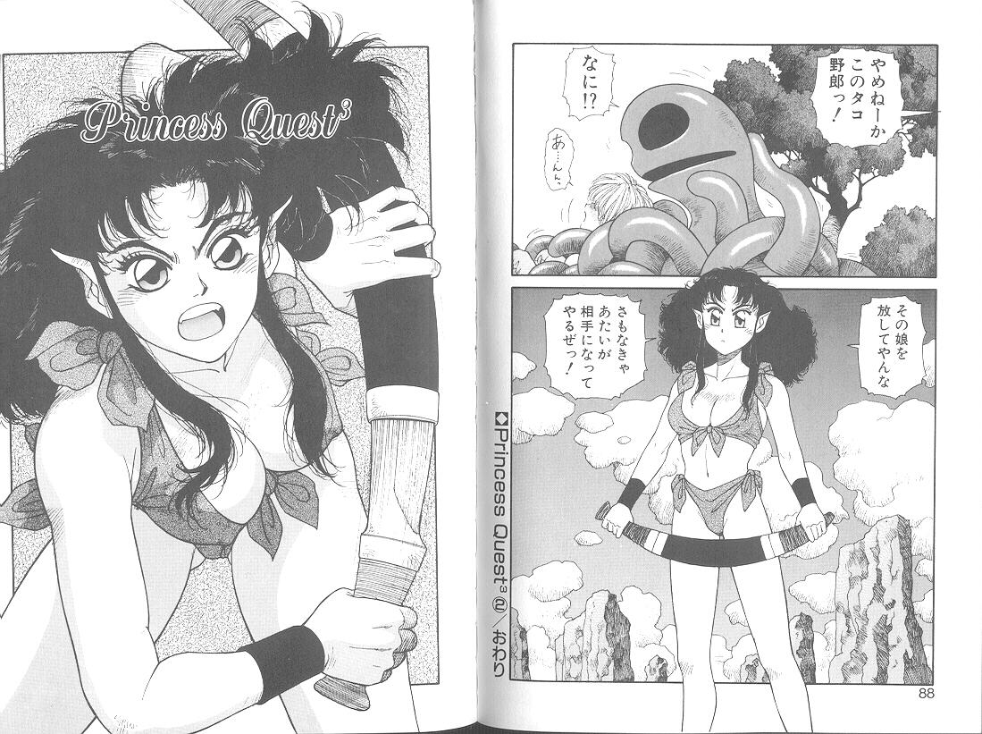 Princess Quest Saga 46