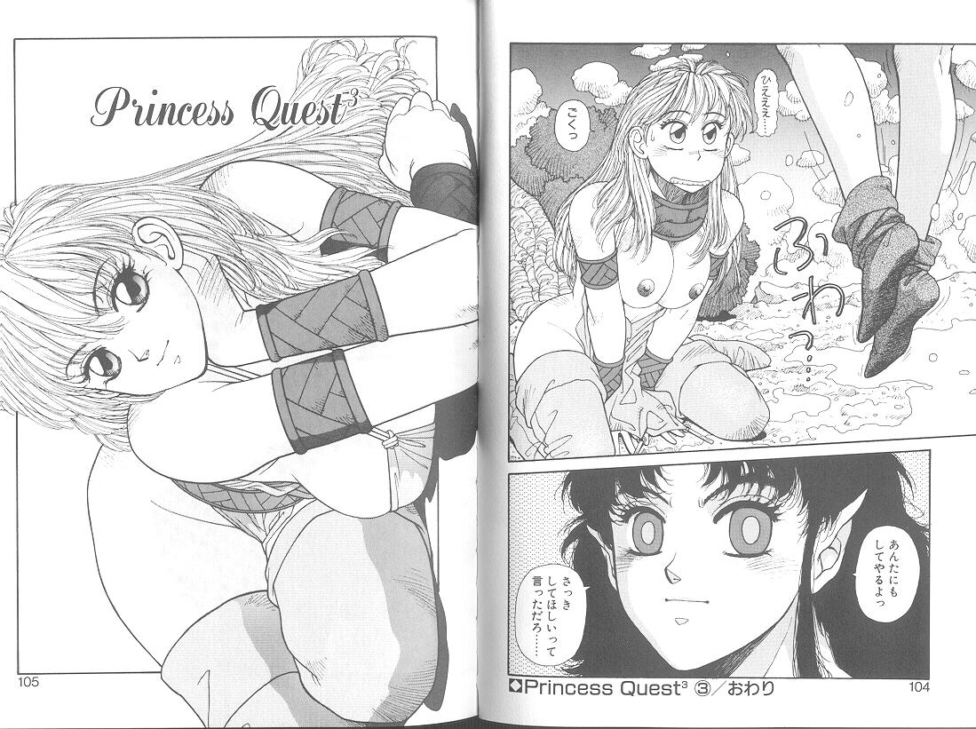 Princess Quest Saga 54
