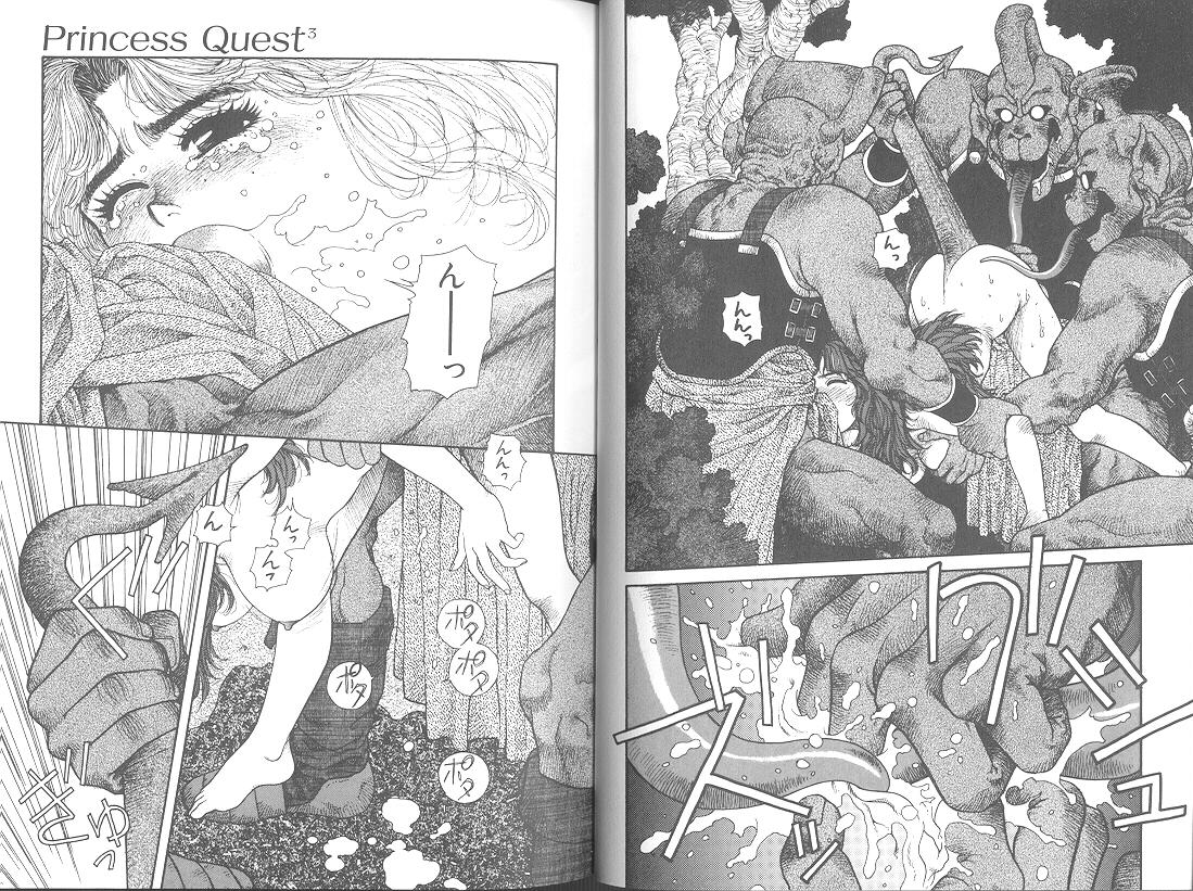 Princess Quest Saga 68