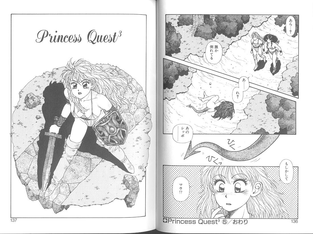 Princess Quest Saga 70