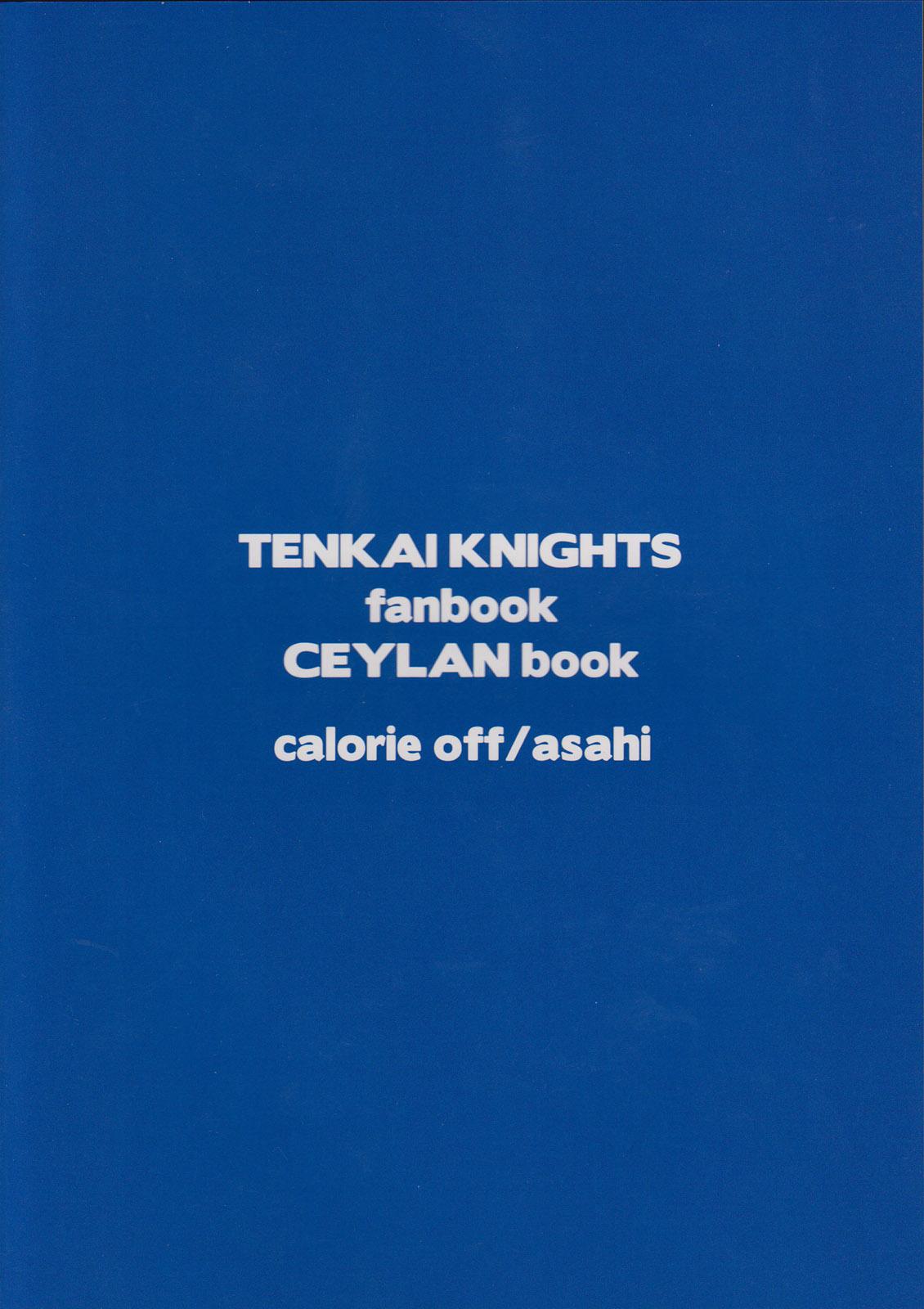 Flashing Washizaki Seiran - Tenkai knights Verification - Page 18