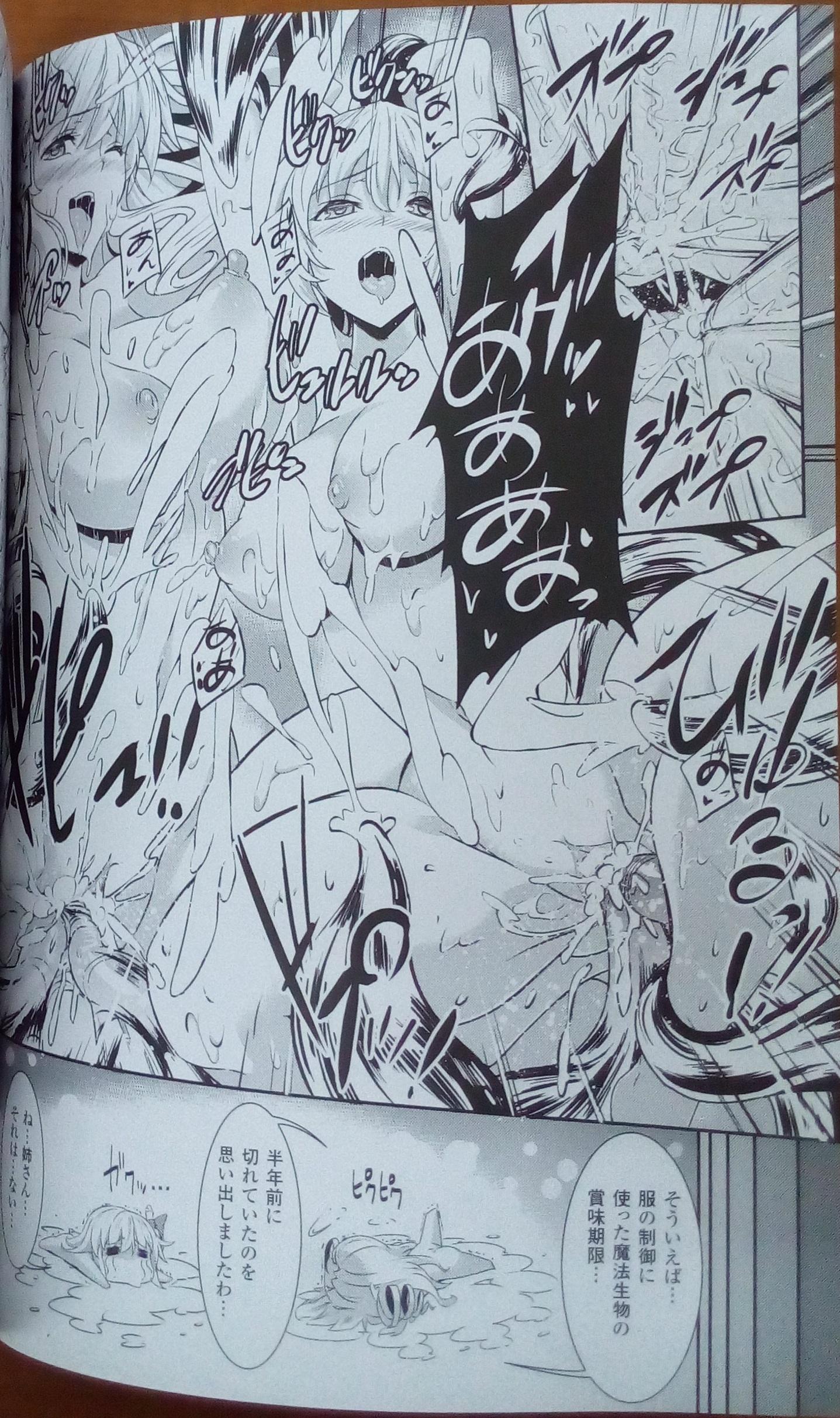 [Erect Sawaru] Shinkyoku no Grimoire III -PANDRA saga 2nd story-  Append book [Photoed] 10