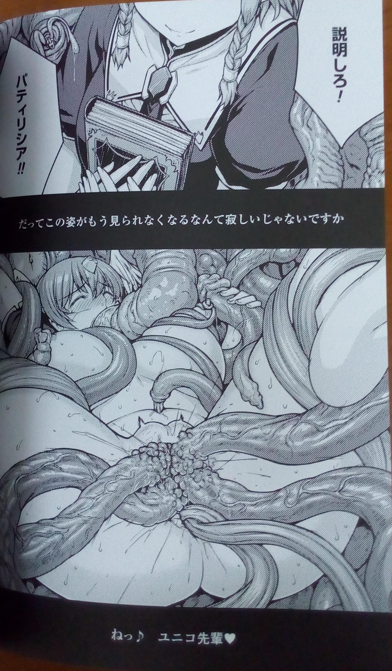 [Erect Sawaru] Shinkyoku no Grimoire III -PANDRA saga 2nd story-  Append book [Photoed] 22