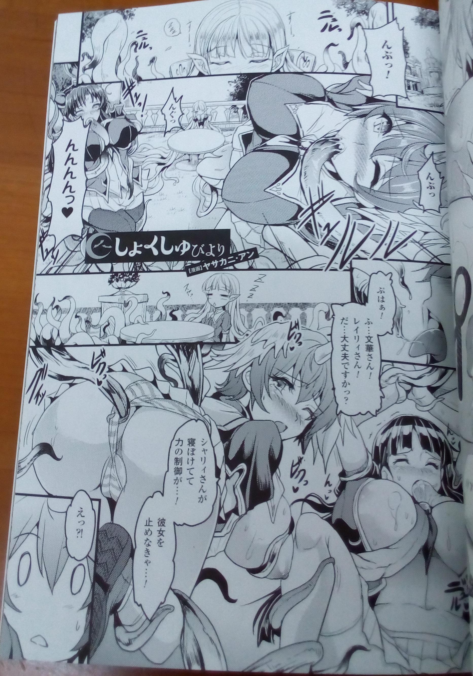 [Erect Sawaru] Shinkyoku no Grimoire III -PANDRA saga 2nd story-  Append book [Photoed] 31