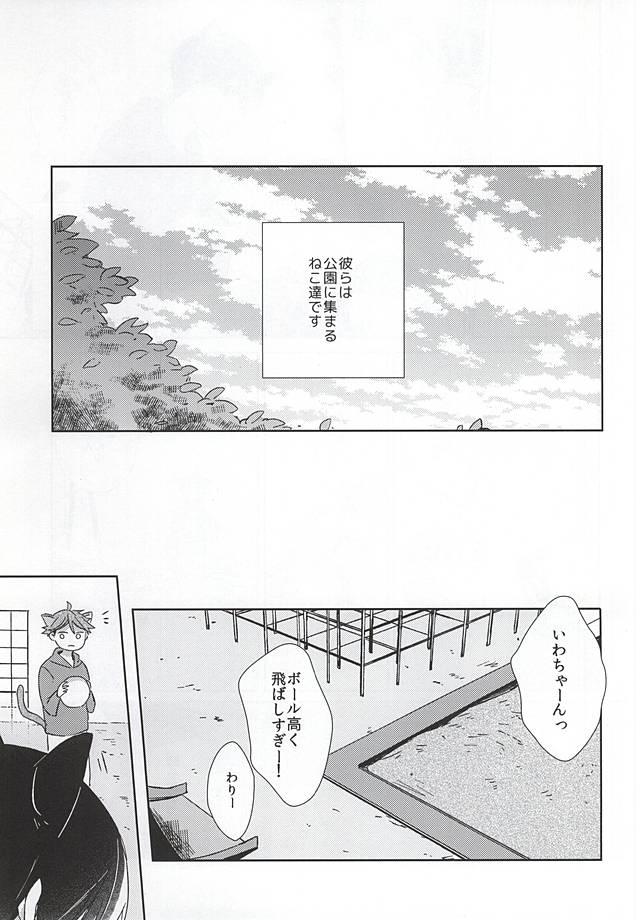 Amante Neko ni Natta Oikawa-san - Haikyuu Culonas - Page 2