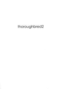thoroughbred2 3