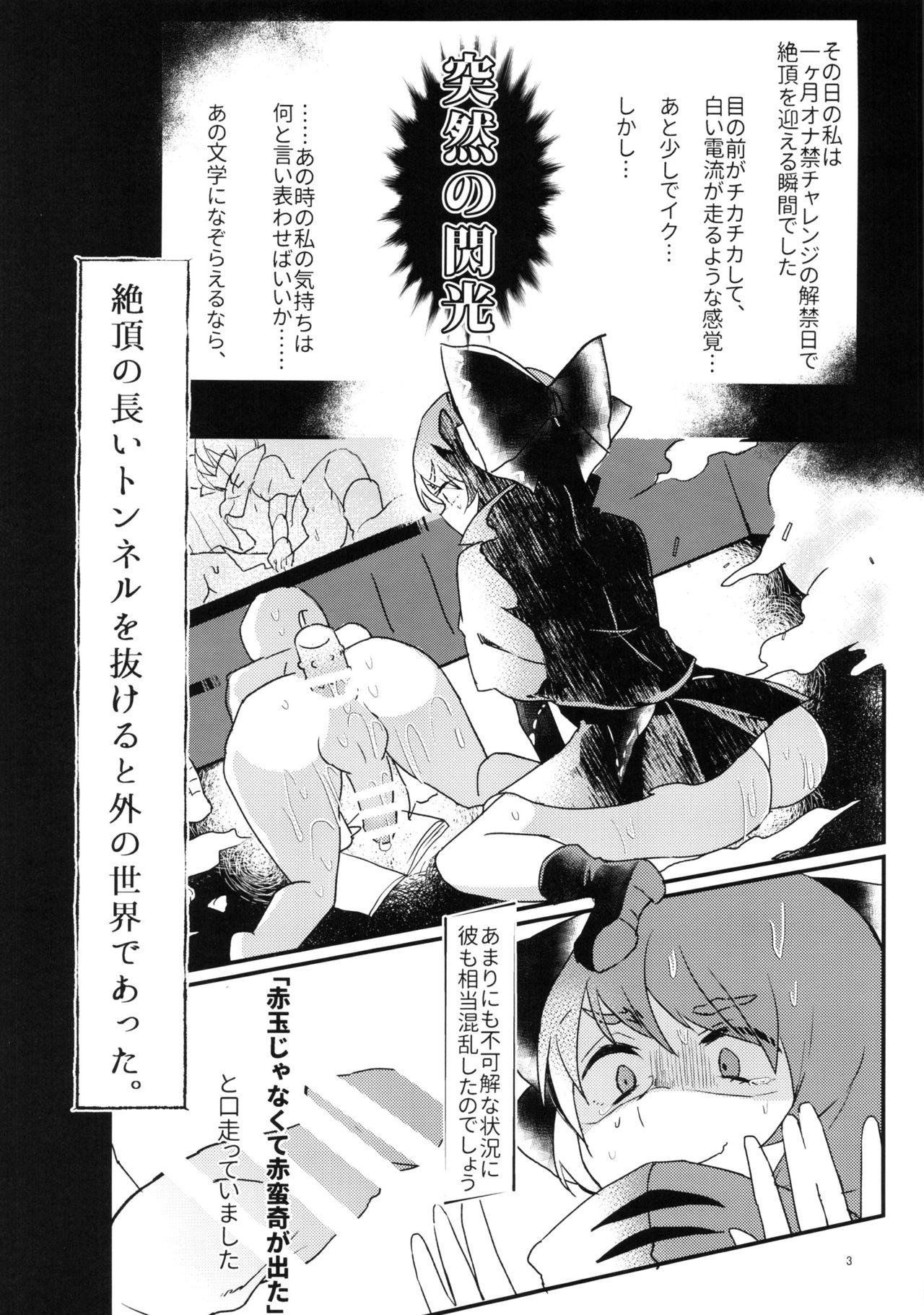 Gay Hairy Ore no Seiyoku de Sekibanki o Shoukan Shita Kekka - Touhou project Pervert - Page 3