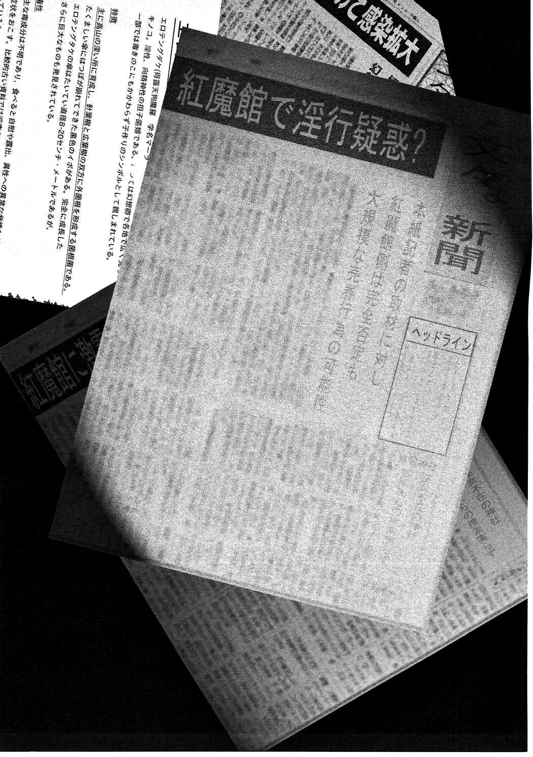 Exotic Gensoukyou Seifuuzoku Jijou Koumakan Hen - Touhou project Gape - Page 2