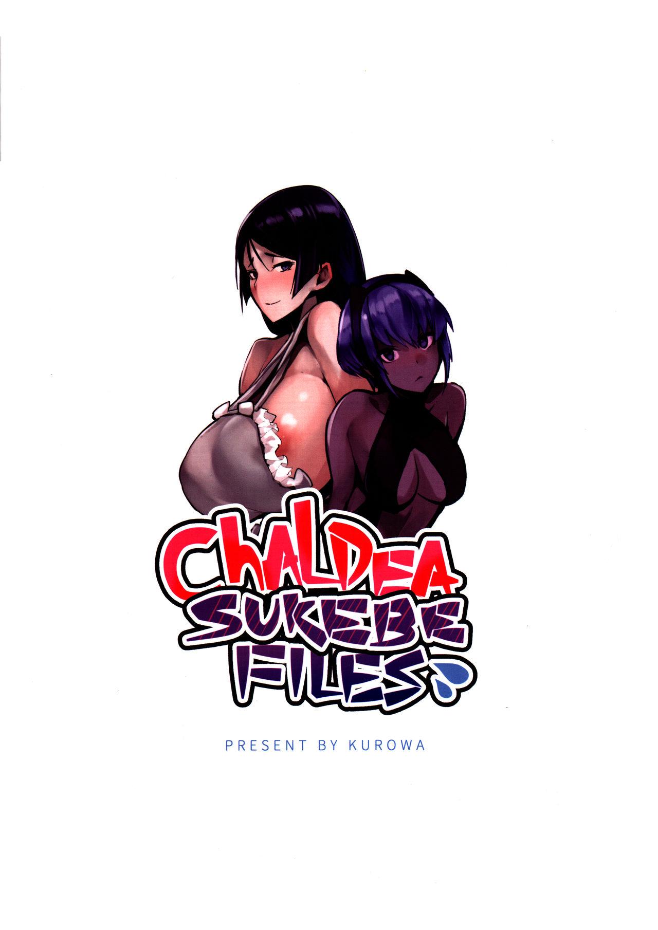 Chaldea Sukebe Files 16