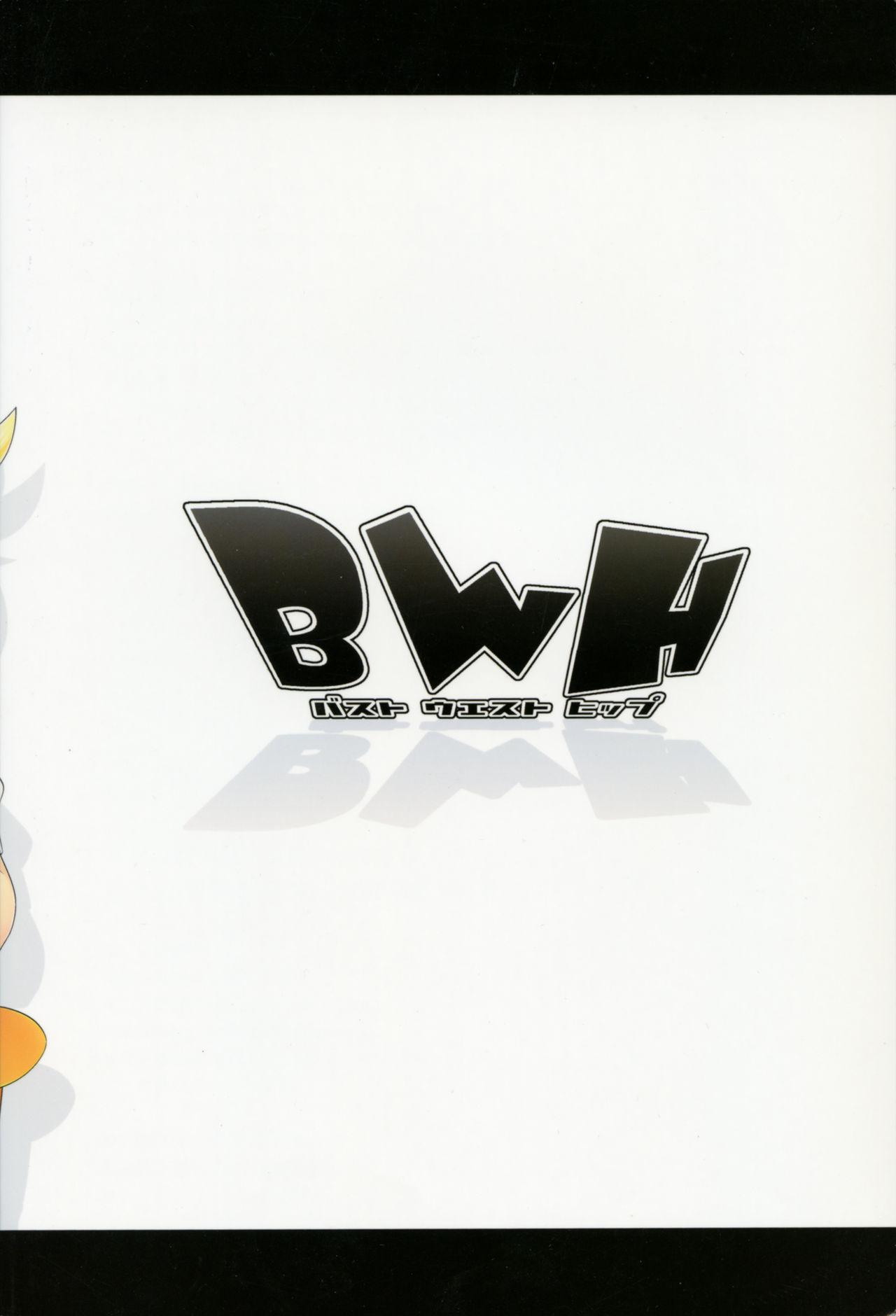 BWH - Bust Waist Hip 25