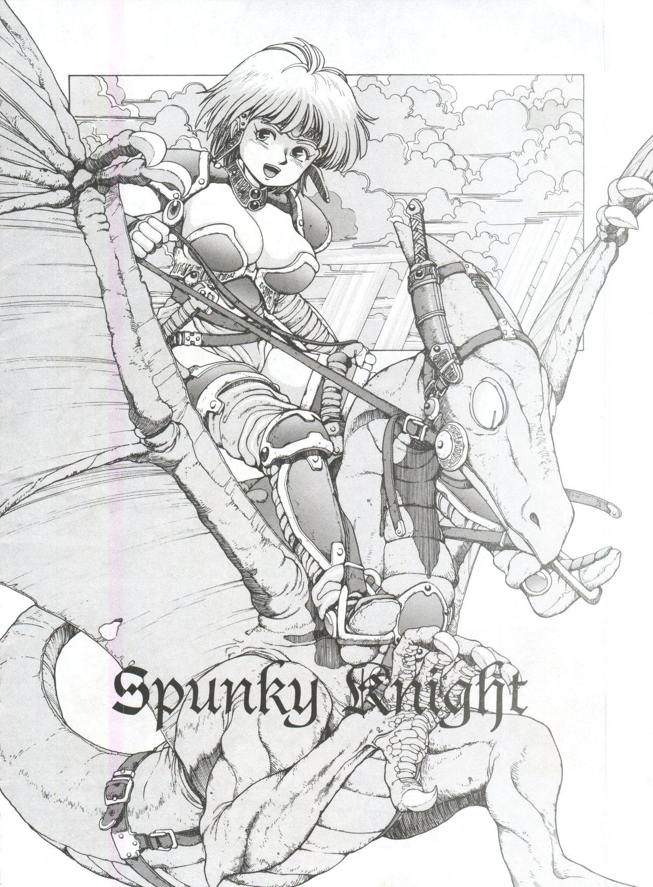 Spunky Knight 2 2