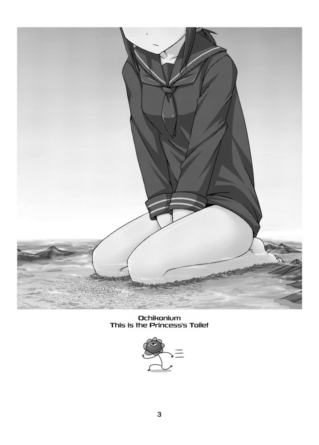 Bikini Koko wa Hime-sama no Toile desu Lez - Page 2