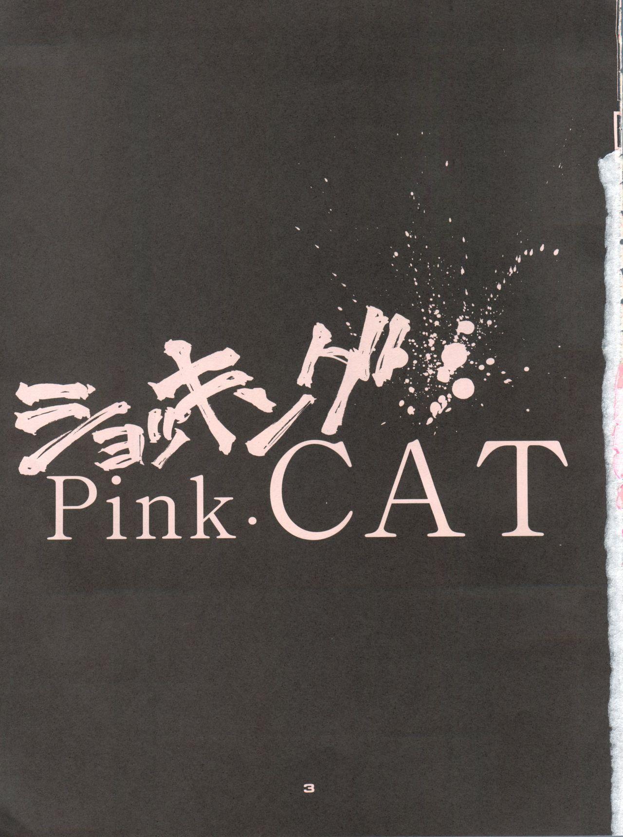 Shocking Pink-Cat 1