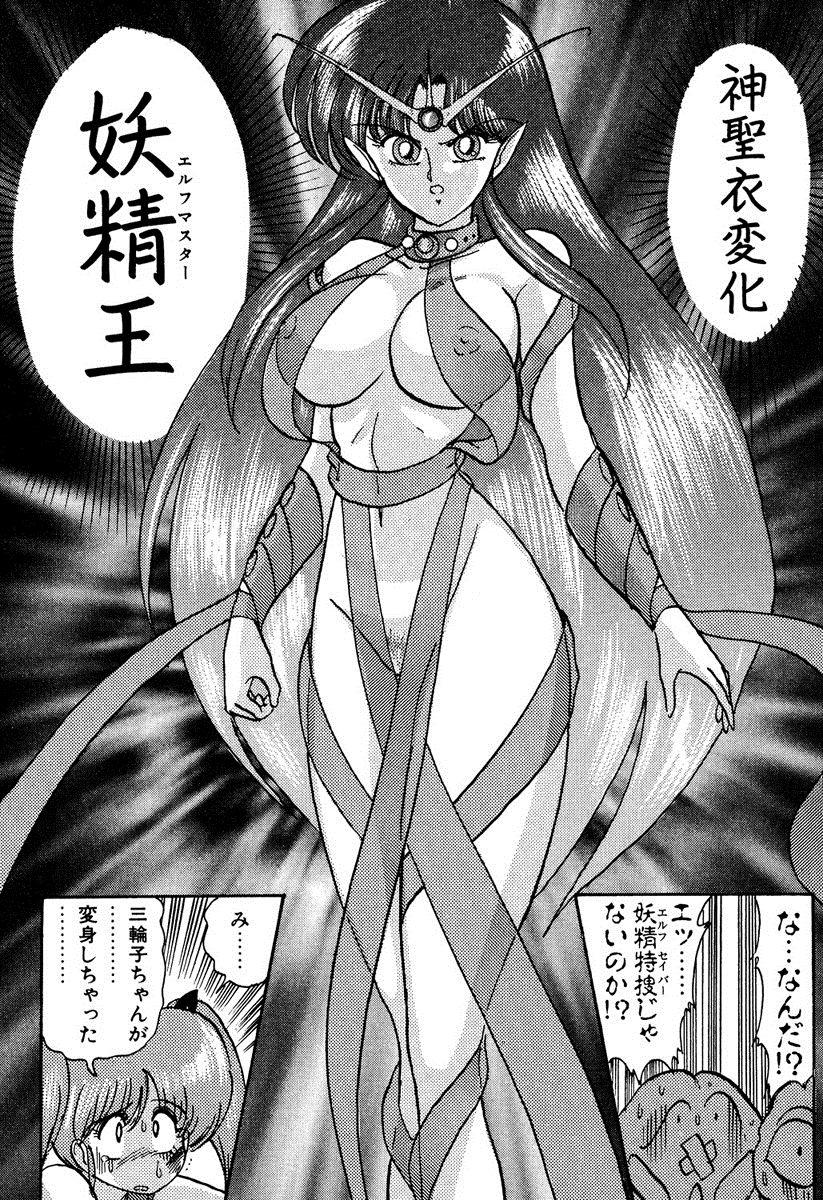 Seirei Tokusou Fairy Saber EX 102
