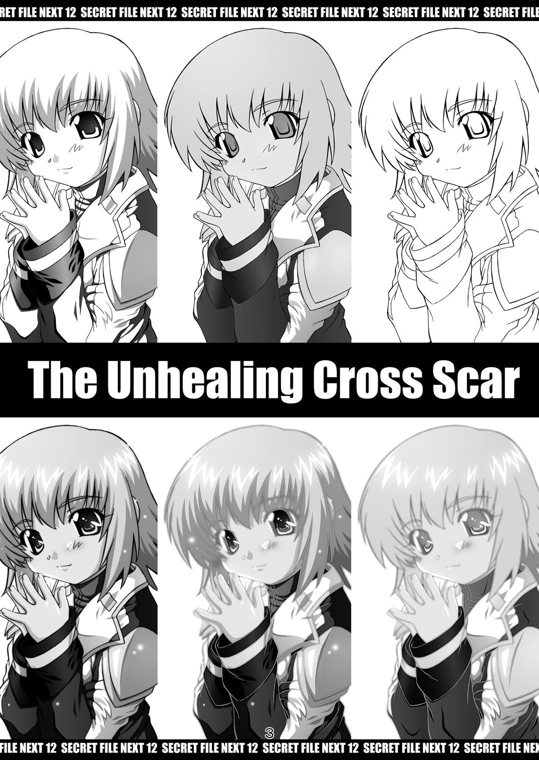 Girlsfucking SECRET FILE NEXT 12 - The Unhealing Cross Scar - Gundam seed destiny Gundam seed Pain - Page 3