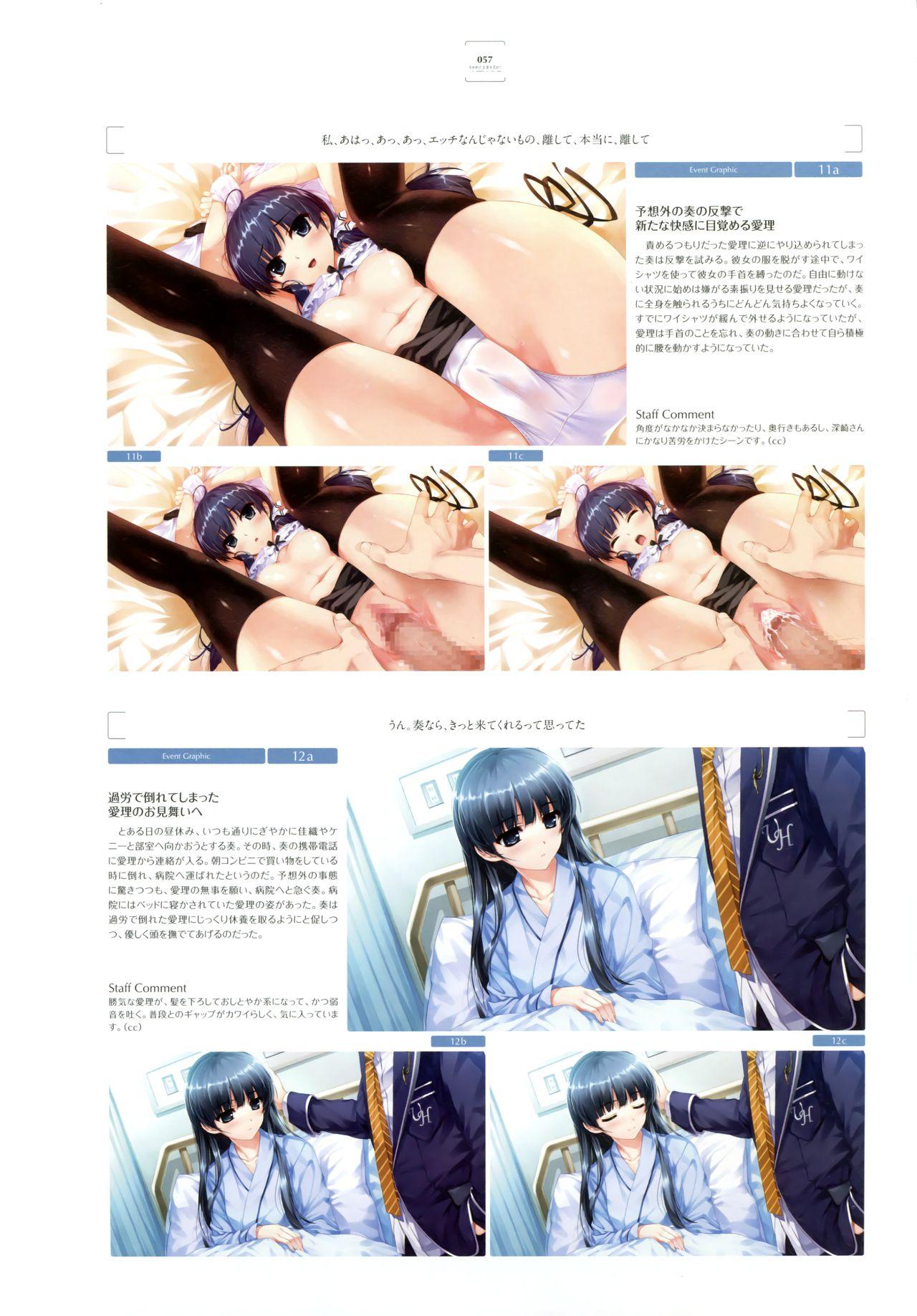 Ushinawareta Mirai o Motomete Visual Fanbook 48