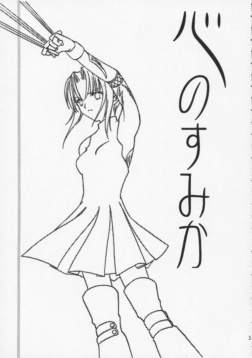 Glam Kokoro no Sumika - Tsukihime Muscles - Page 2