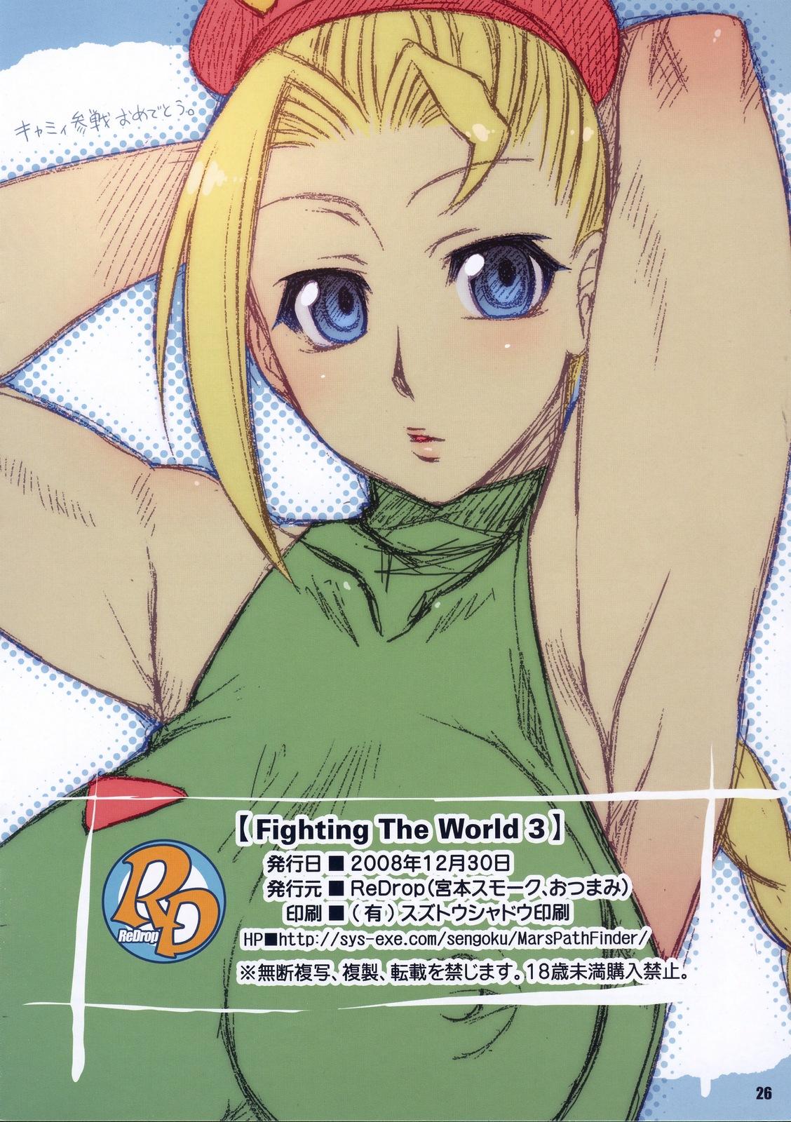 Fighting The World 3 24