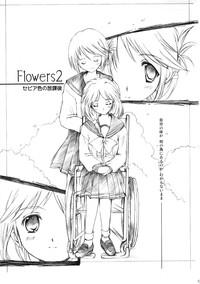 Flowers 2 8