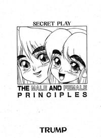 Secret Play The Male and Female Principles 1