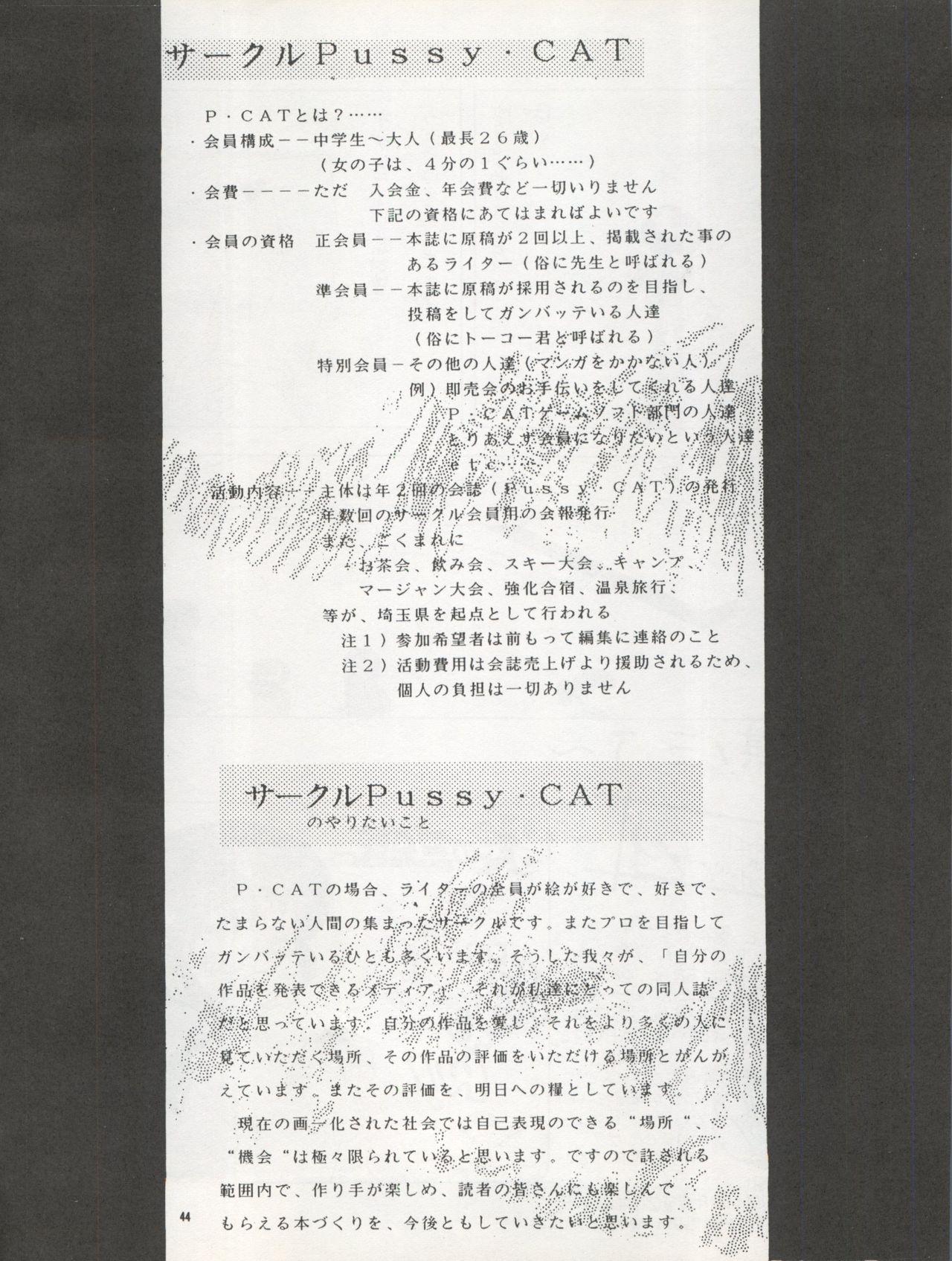Pussy CAT Vol. 22 Pai-chan Hon 2 43