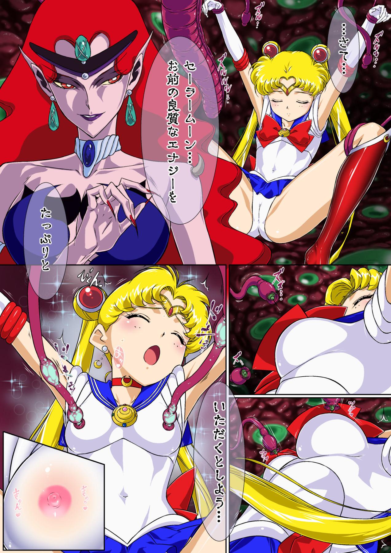 Sailor Moon Chu! 8