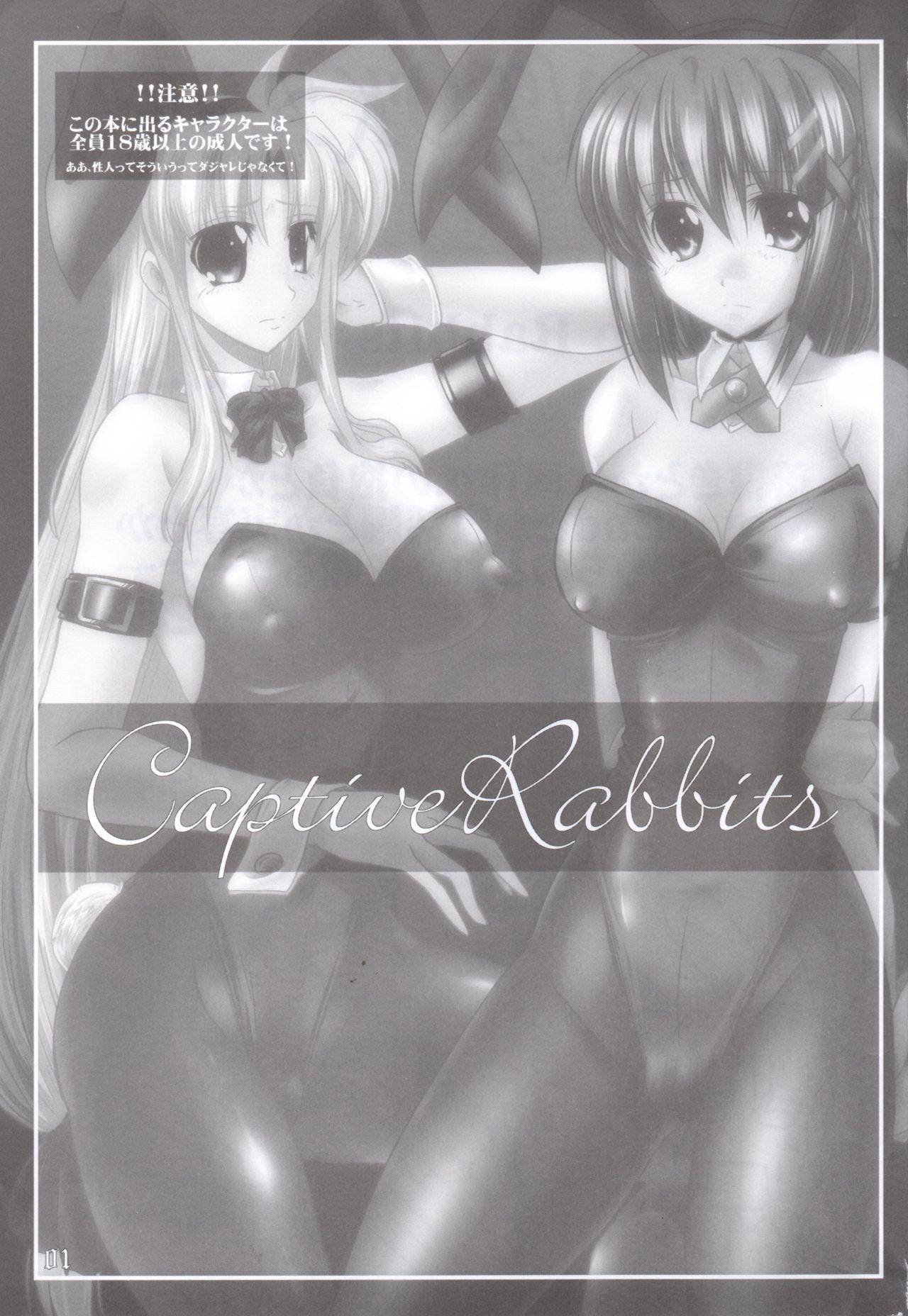 Super Captive Rabbitl - Mahou shoujo lyrical nanoha Hot Teen - Page 2